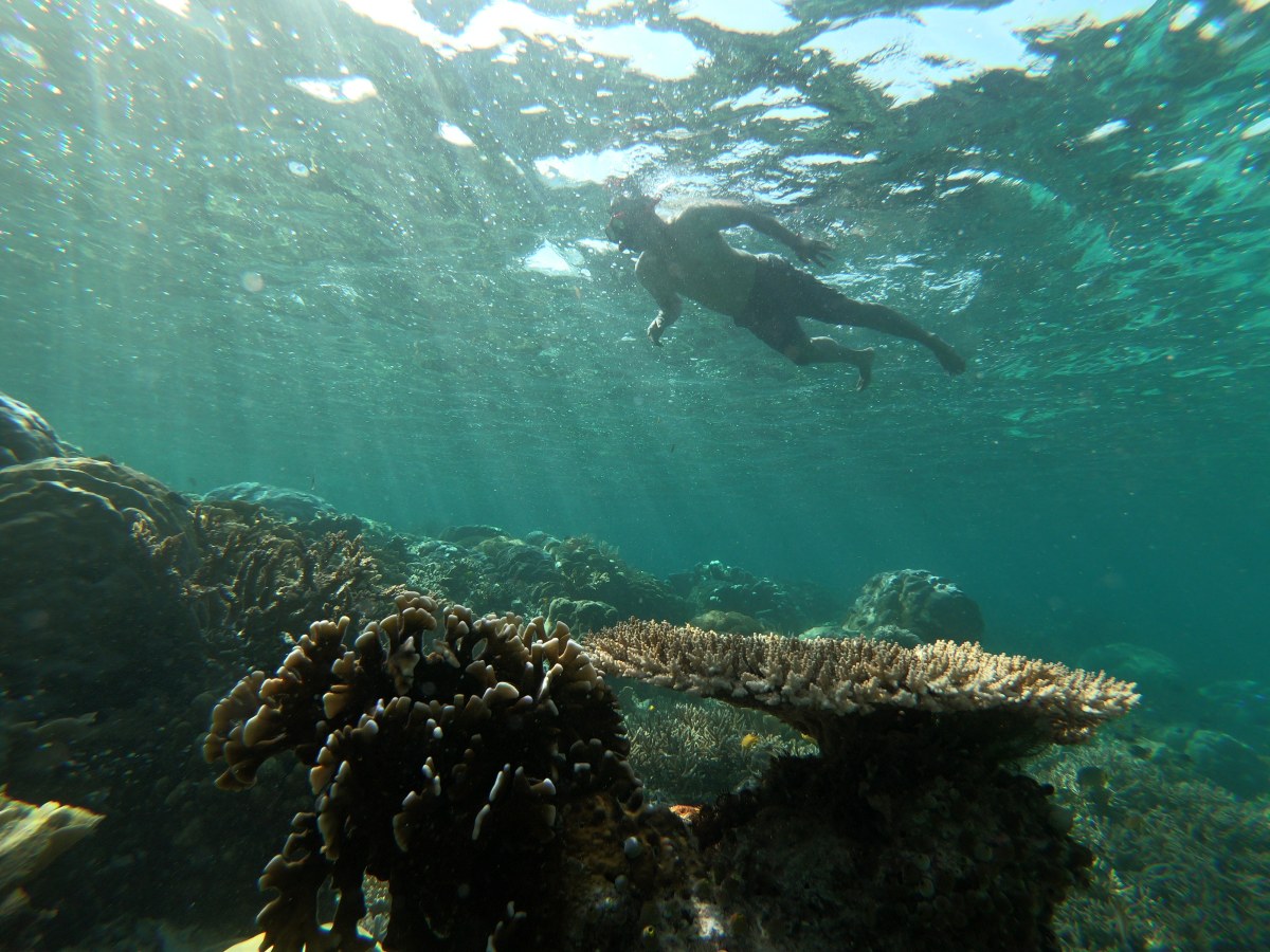 Jejak Kaki #1 Satu Hari di Raja&nbsp;Ampat